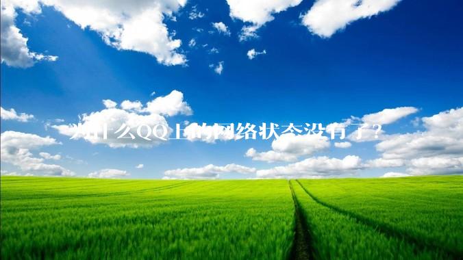 为什么QQ上的网络状态没有了？