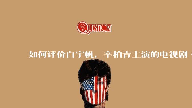 如何评价白宇帆、辛柏青主演的电视剧《护宝寻踪》？